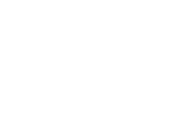 Magnesholm